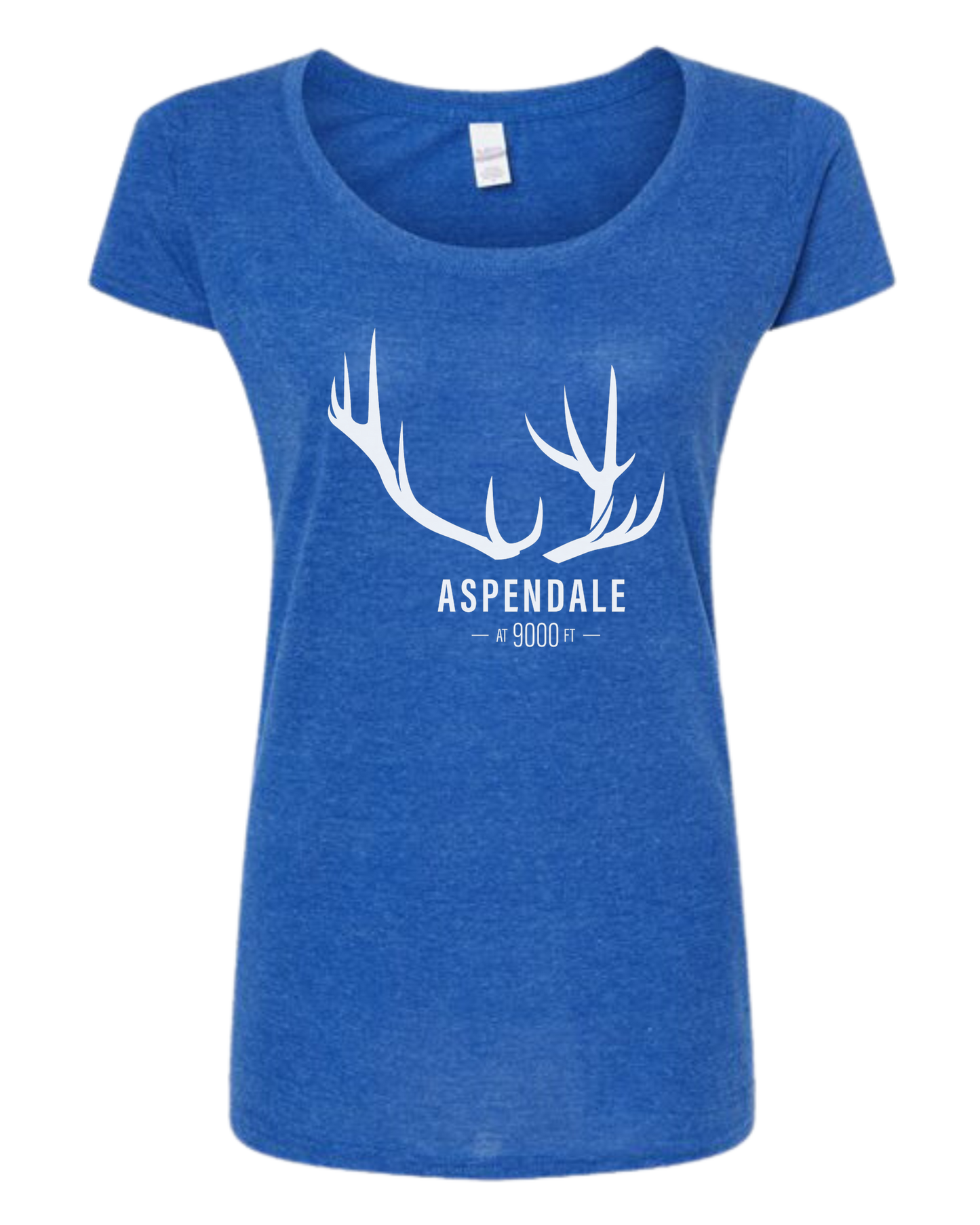 Antlers for Aspendale (white) Women's fit scoop neck tee Royal Blue