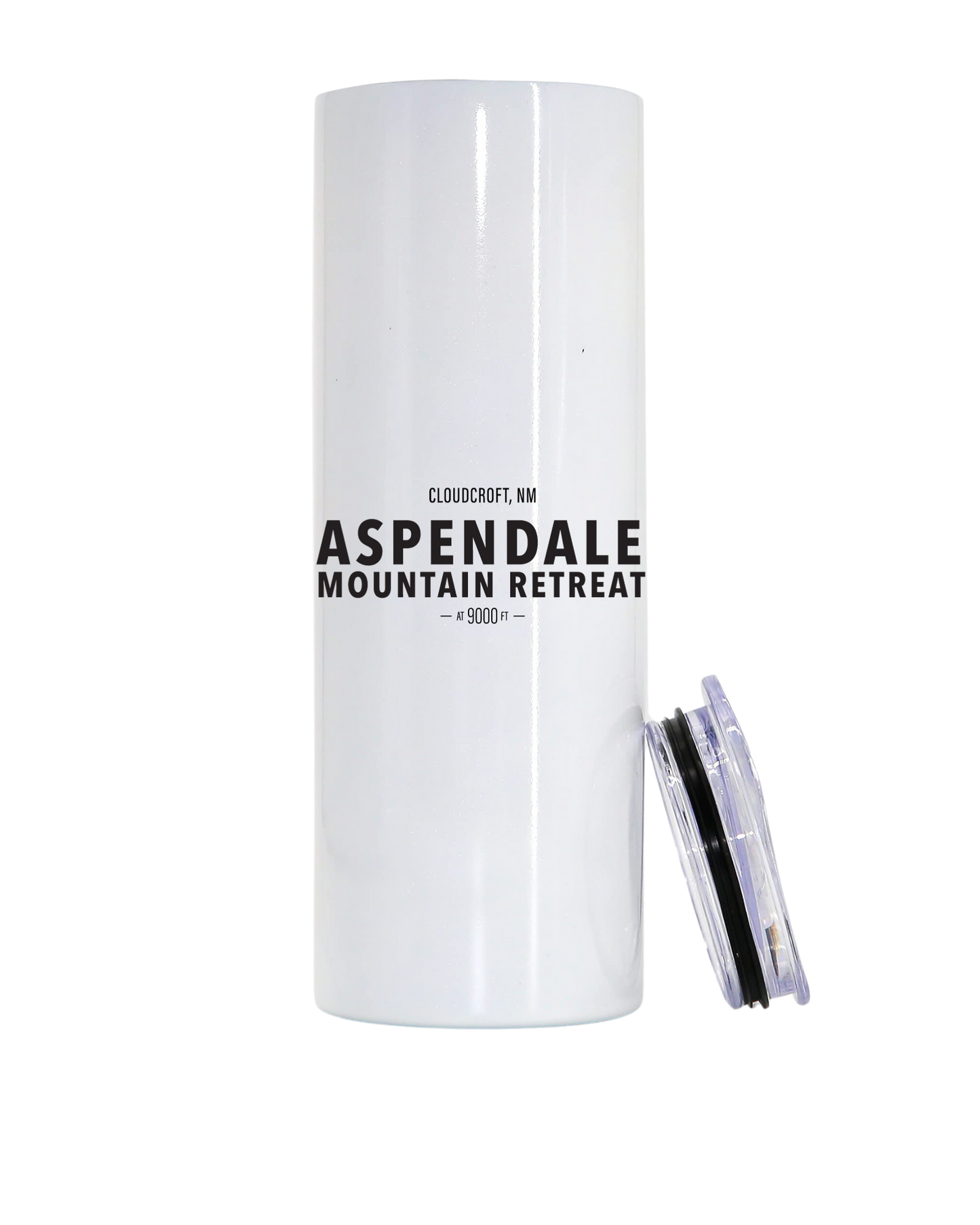 Aspendale 22 oz stainless steel tumbler