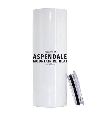 Aspendale 22 oz stainless steel tumbler