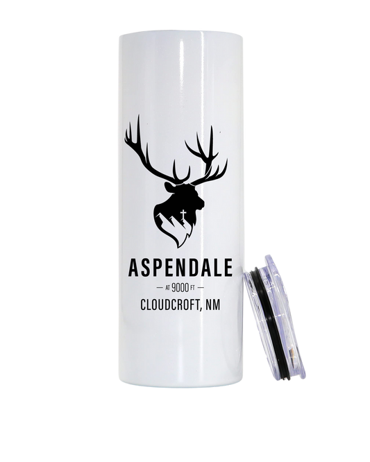 Aspendale 22 oz stainless steel tumbler