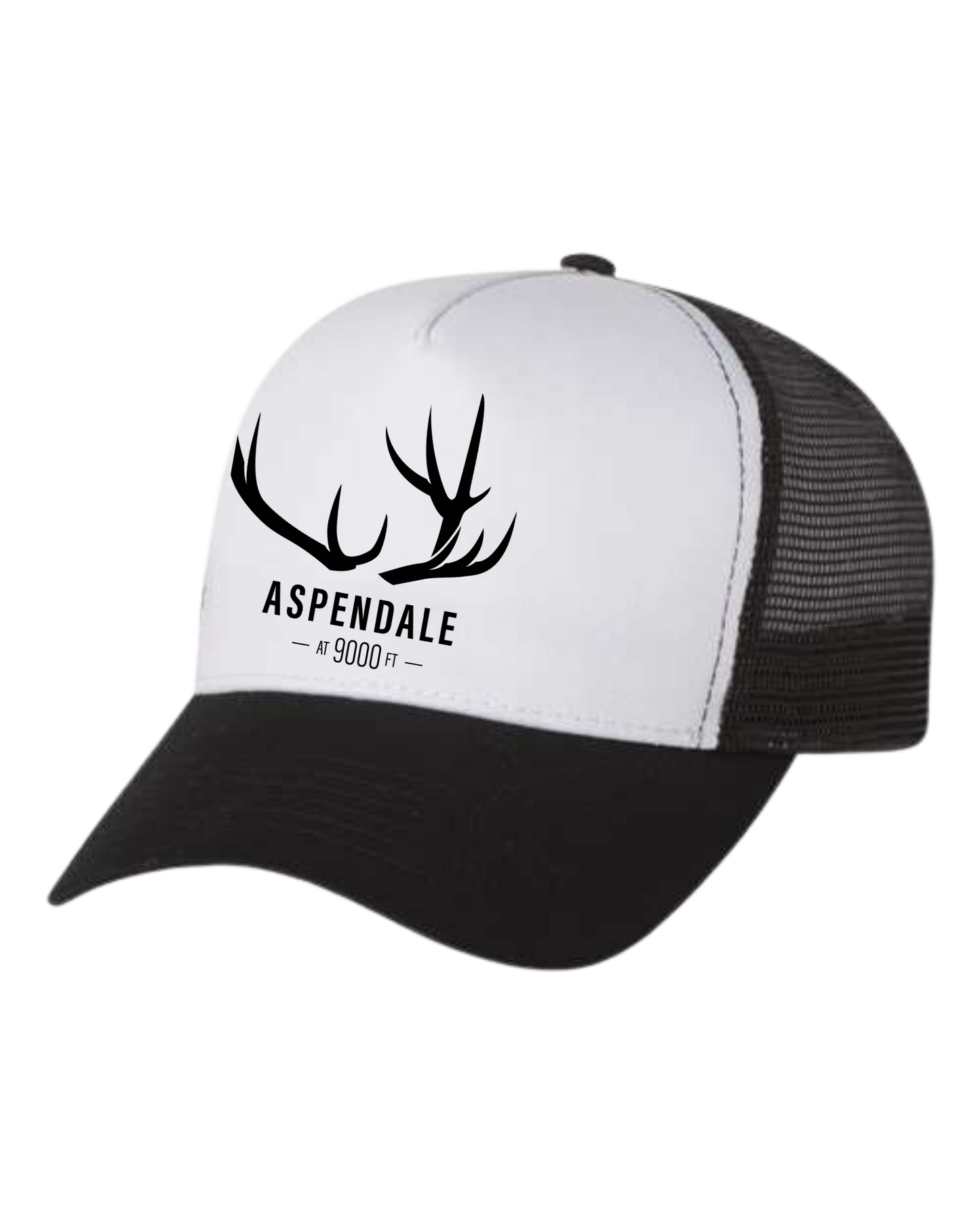 Aspendale at 9000ft retro mesh trucker cap