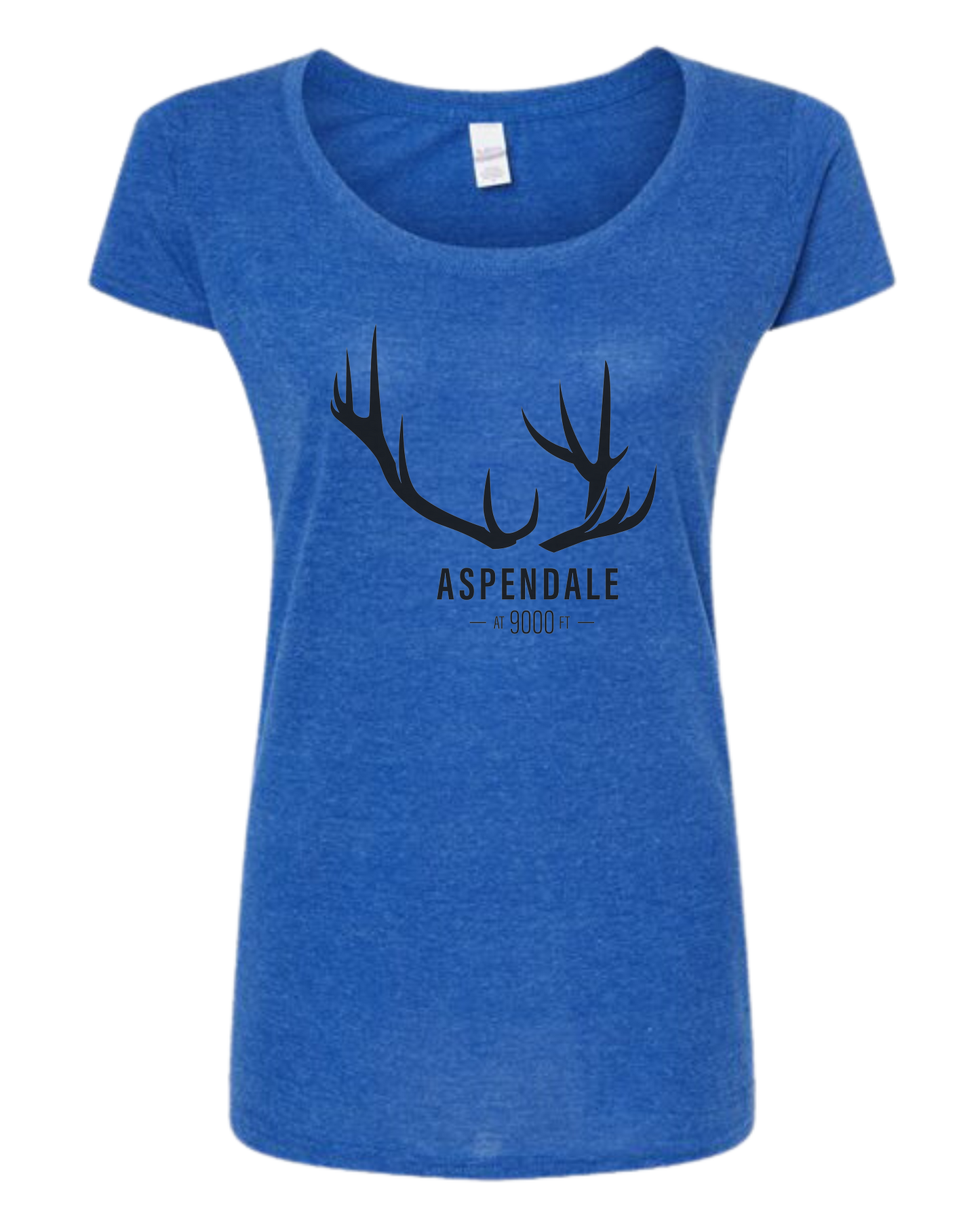 Antlers for Aspendale Women's fit scoop neck tee Royal Blue
