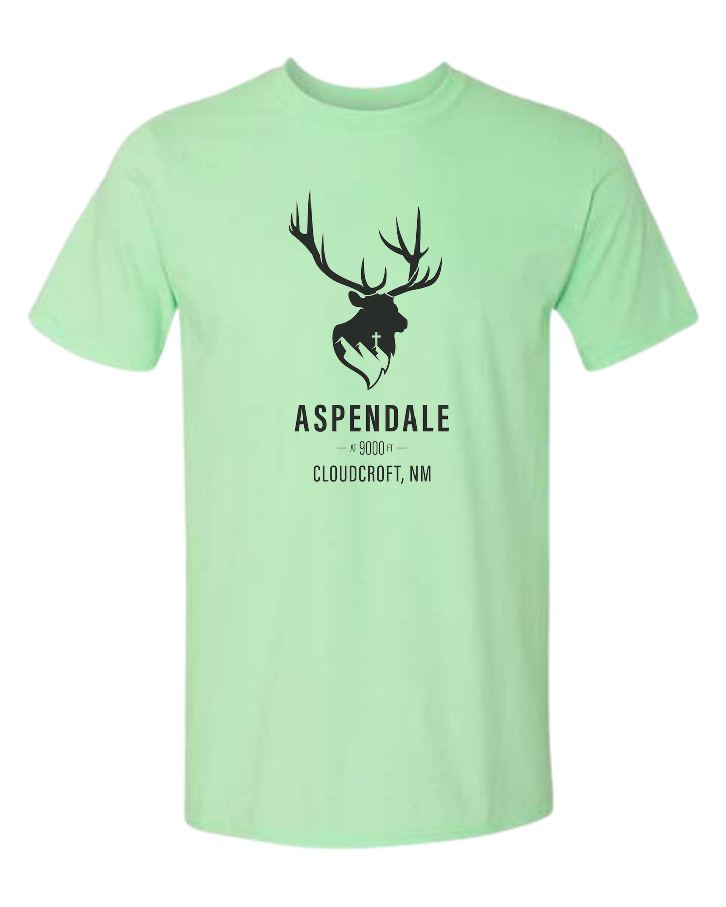 Aspendale at 9000ft (black) Unisex crewneck graphic tee (light colors) Mint Green